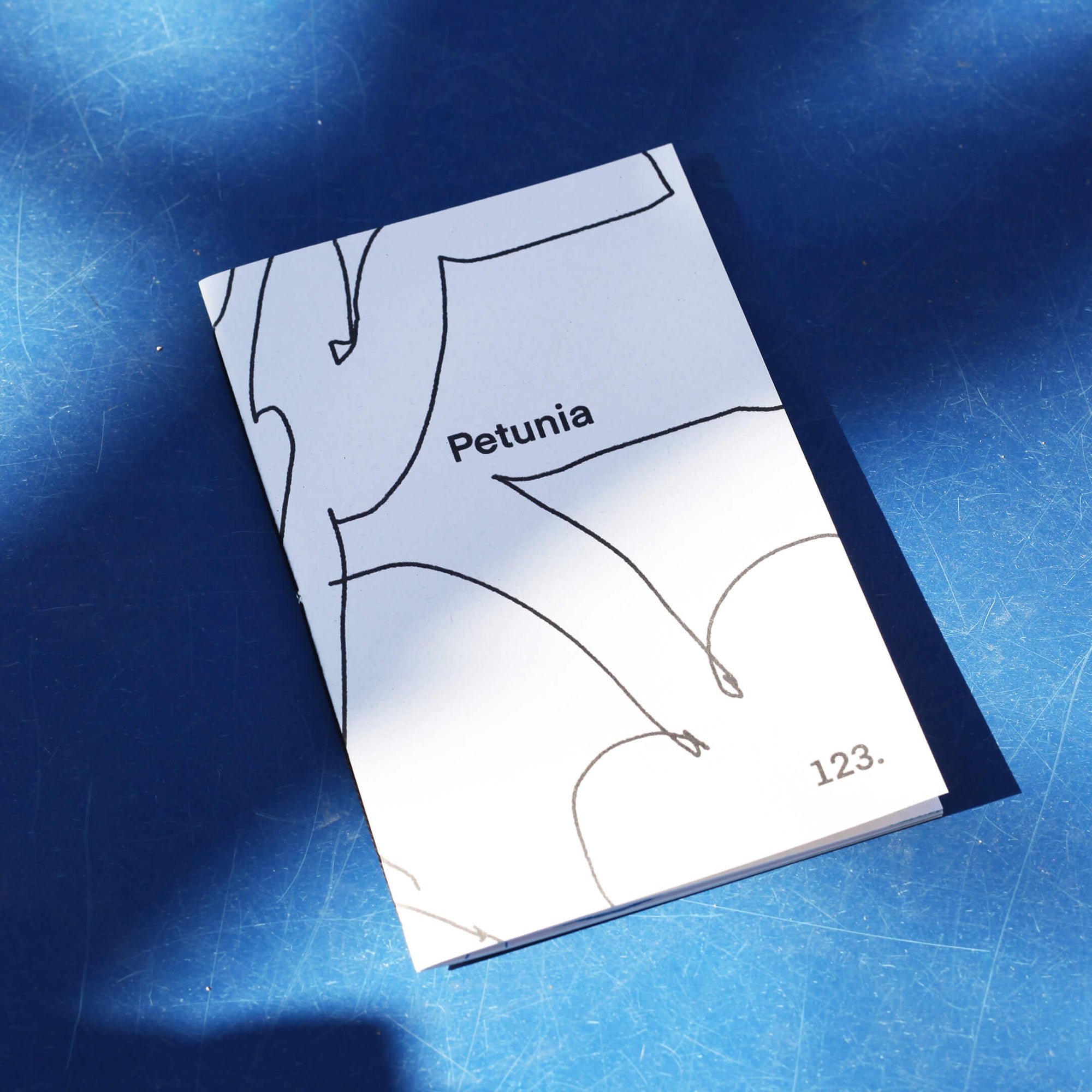 Jumbo Adventures + Petunia