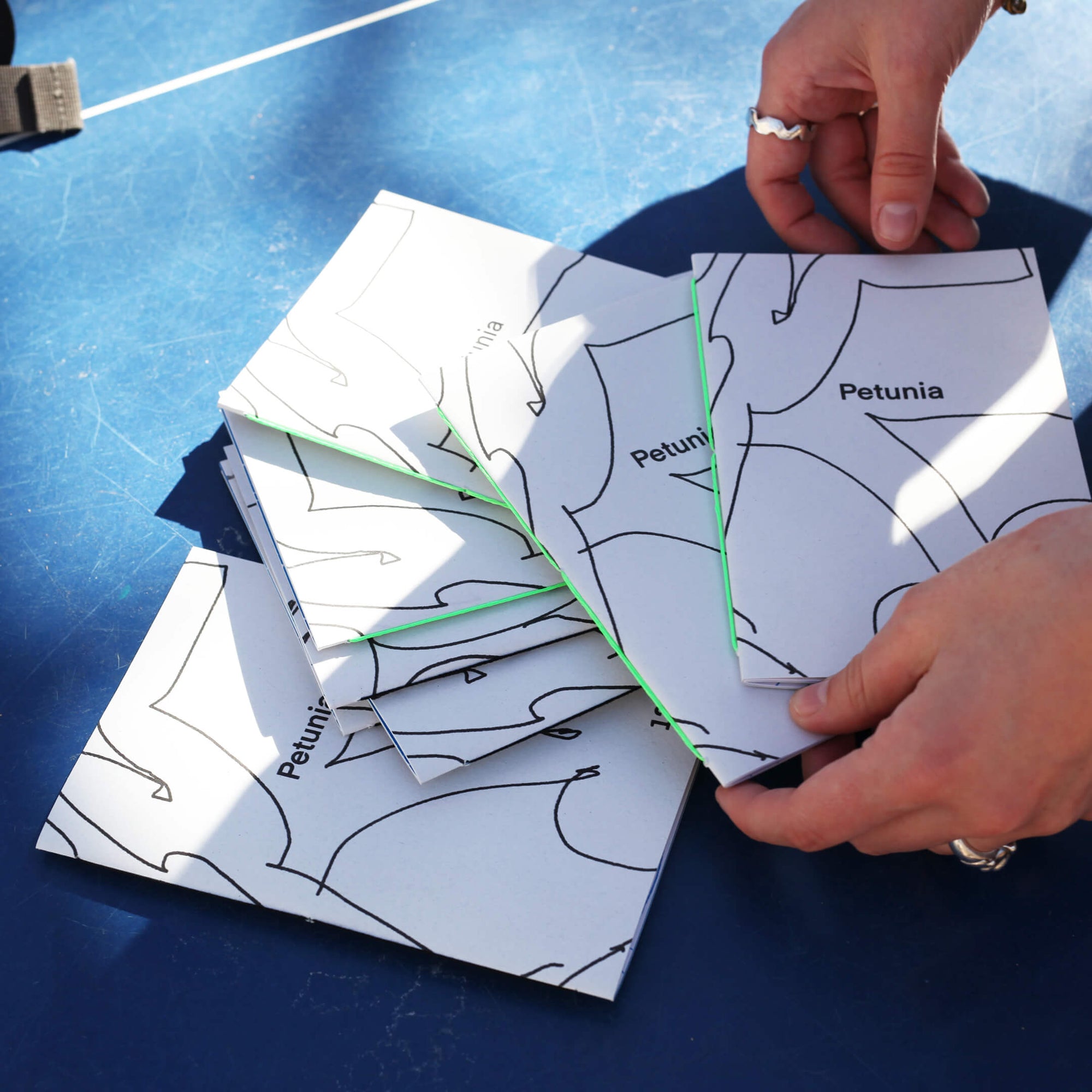 Jumbo Adventures + Petunia