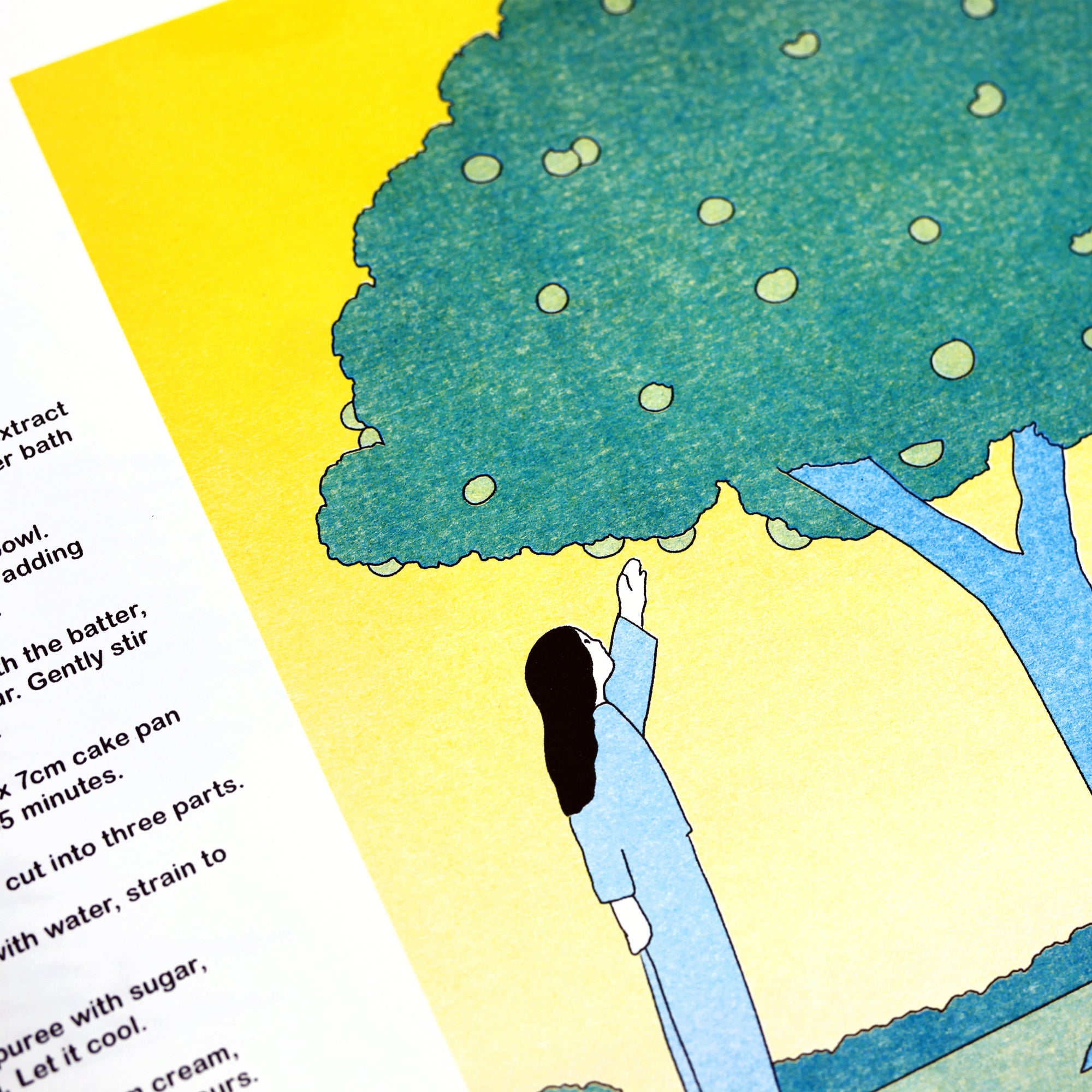 The Illustrators Cookbook