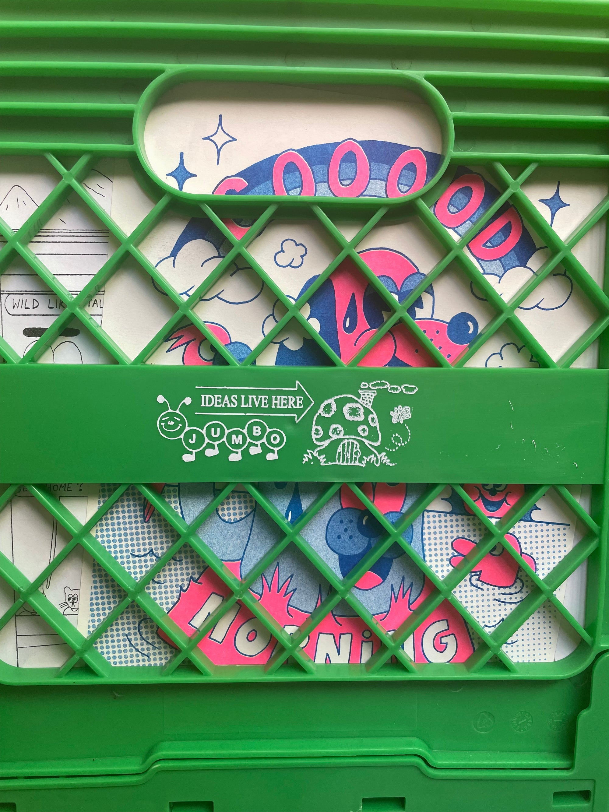 Collapsible Jumbo Crate