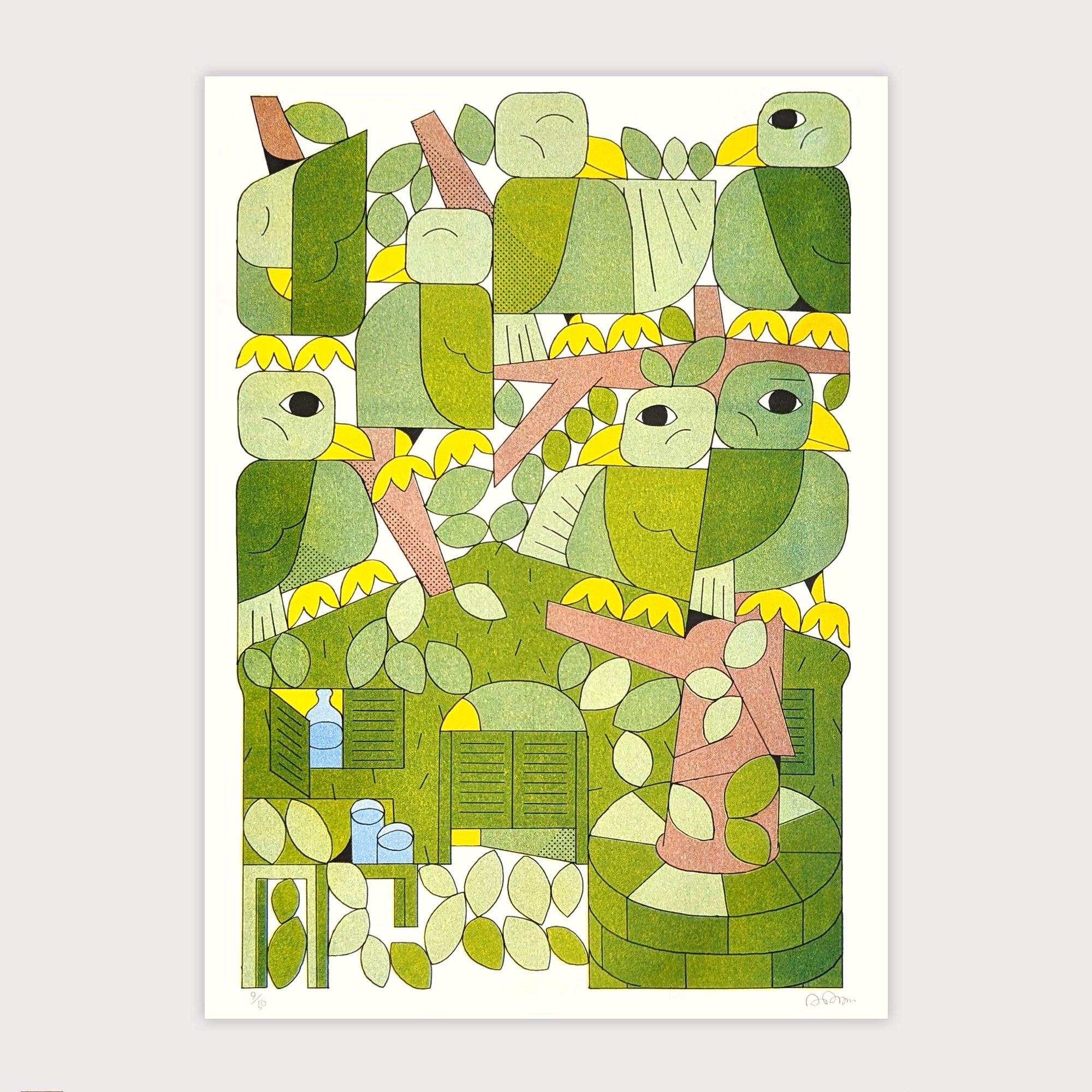 Amazona Collaria
