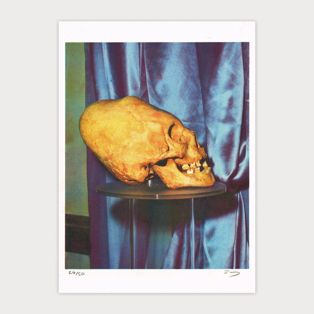 Skull Study
